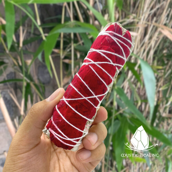 xothomtranghoahong1
