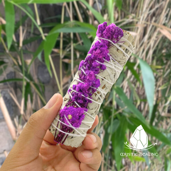 xothomtranghoasinuatahong1