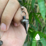 conlacdong_bell2