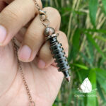 conlacdong_scepter2