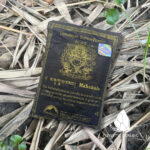 botnhang7