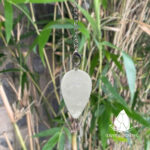 conlacteardrop12