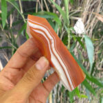 trudaredagate1