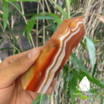 trudaredagate2