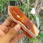 trudaredagate3