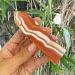 trudaredagate4