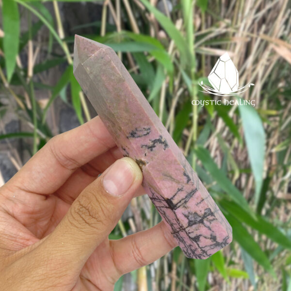 trudarhodonite1
