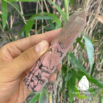 trudarhodonite2