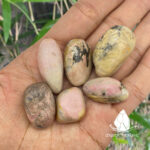 damairhodonite1
