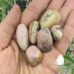 damairhodonite2