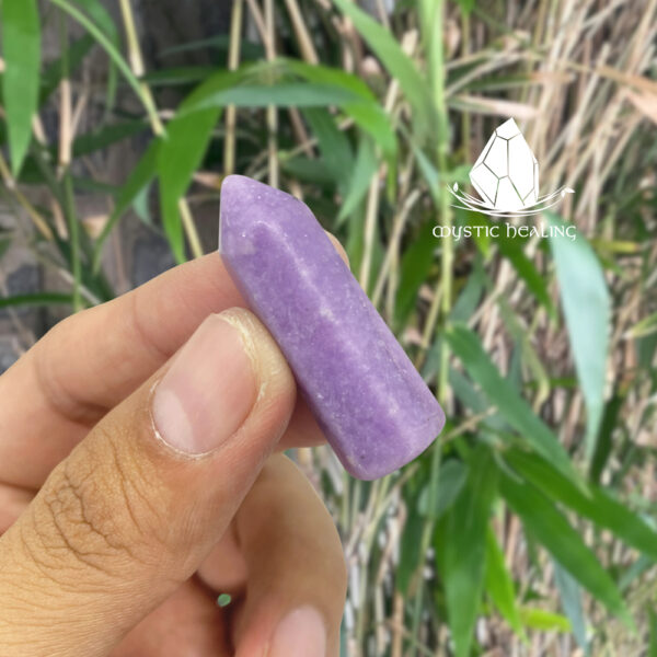 trudaminilepidolite1