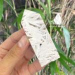 trudawhiteagate2