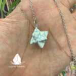 conlacstarofdavid13
