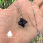 conlacstarofdavid4