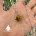 conlacstarofdavid7