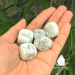 damaiwhitehowlite1