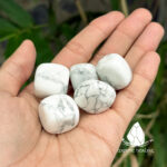 damaiwhitehowlite2
