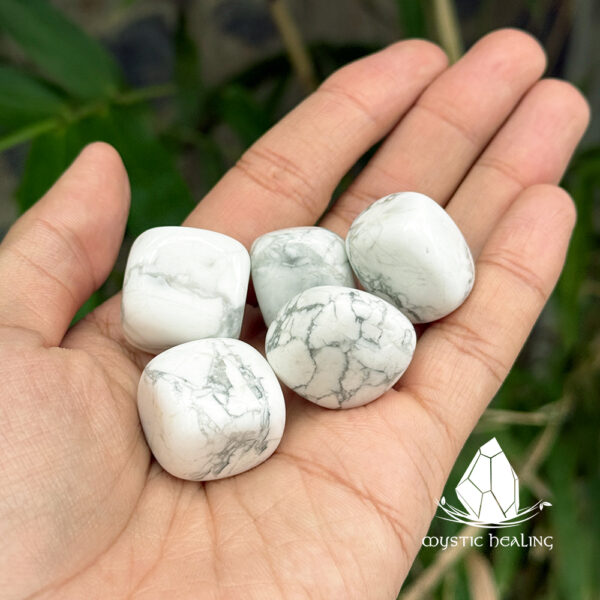 damaiwhitehowlite2
