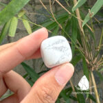 damaiwhitehowlite3