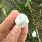 damaiwhitehowlite4