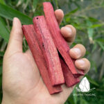 gotracxanhhuyetrong3
