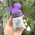 tuivunoaihuong1