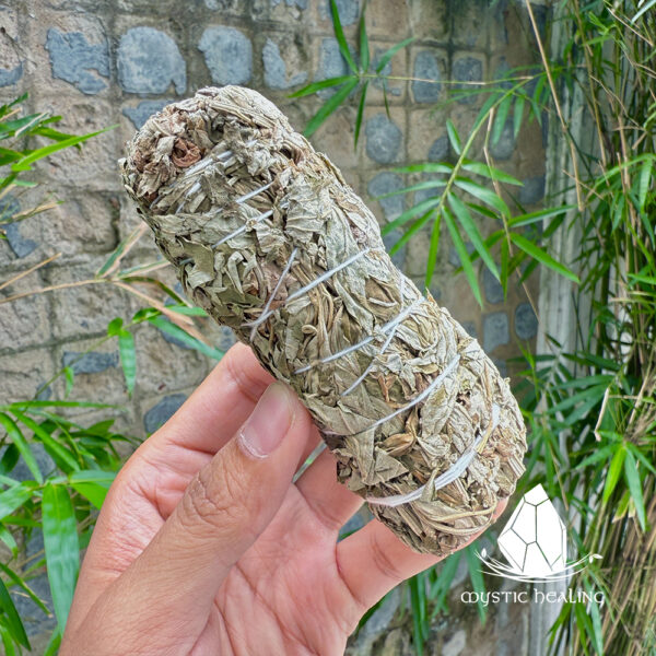 mugwort1