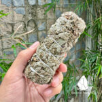 mugwort2