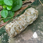 mugwort4